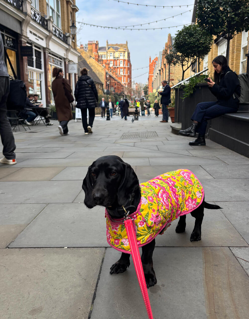 Pink City Prints 4TH DROP Provencal Peony Doggie Coat
