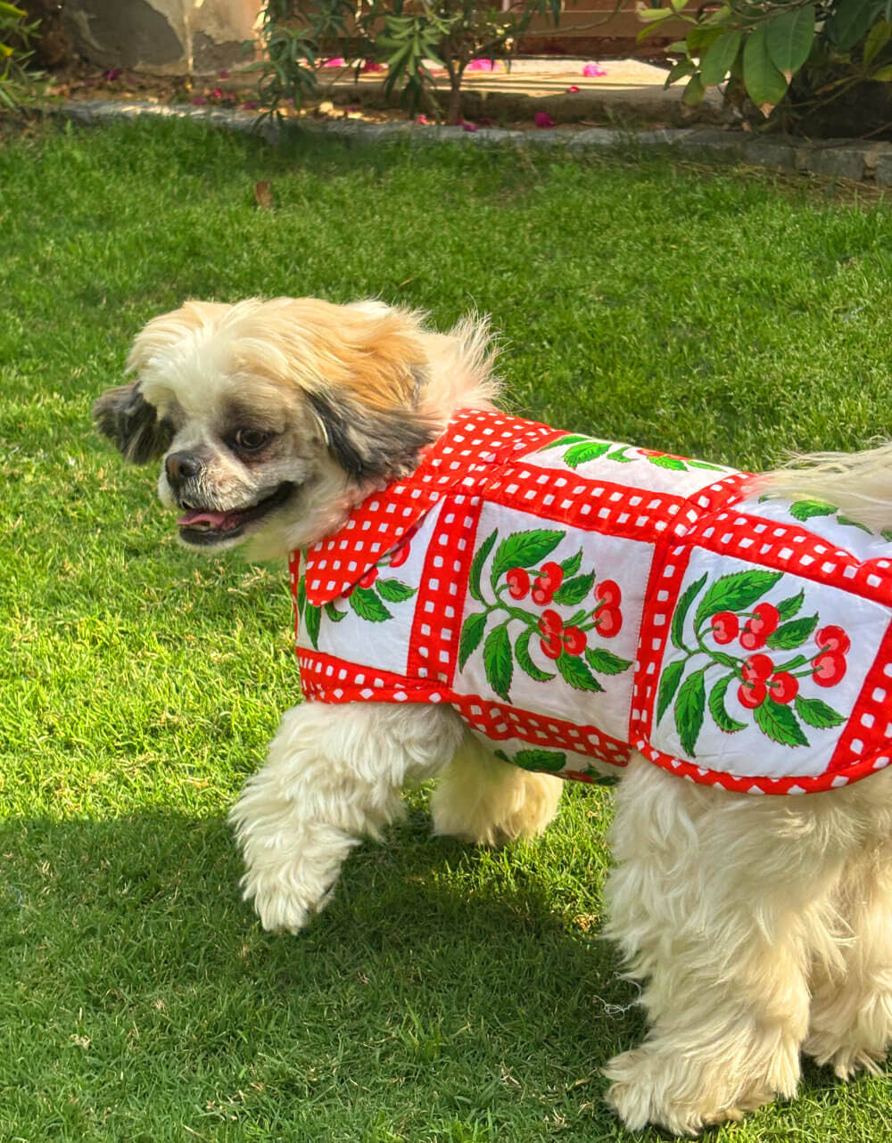 Pink City Prints 4TH DROP Cherry Picnic Doggie Coat