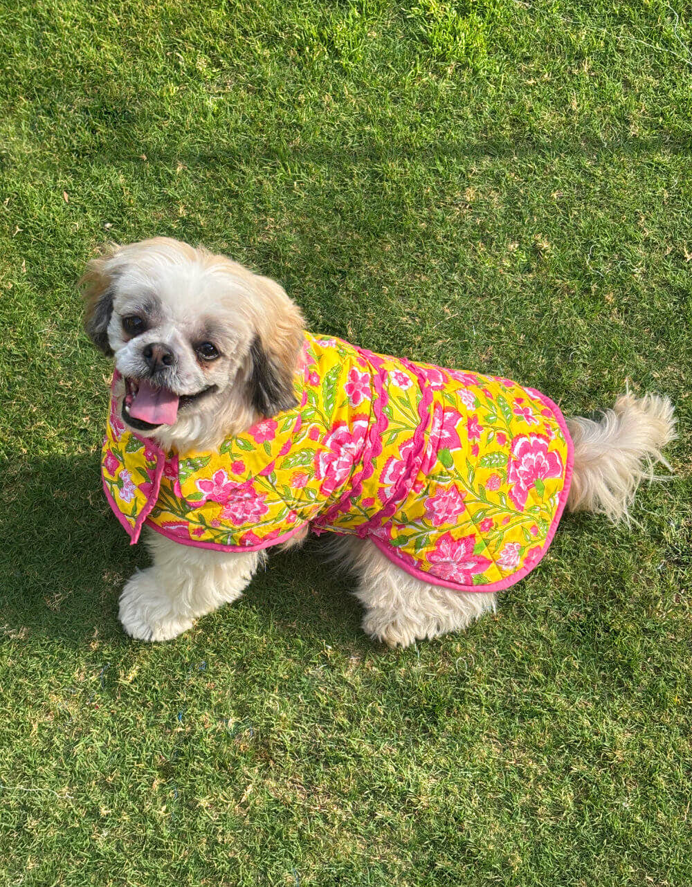 Pink City Prints 4TH DROP Provencal Peony Doggie Coat