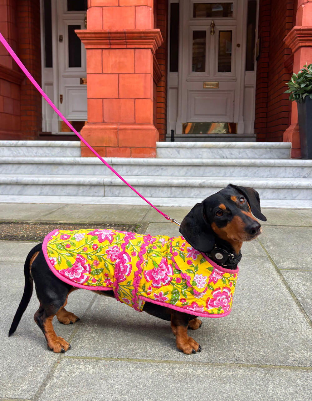 Pink City Prints 4TH DROP Provencal Peony Doggie Coat